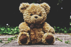 teddy-bear-3599680_19201